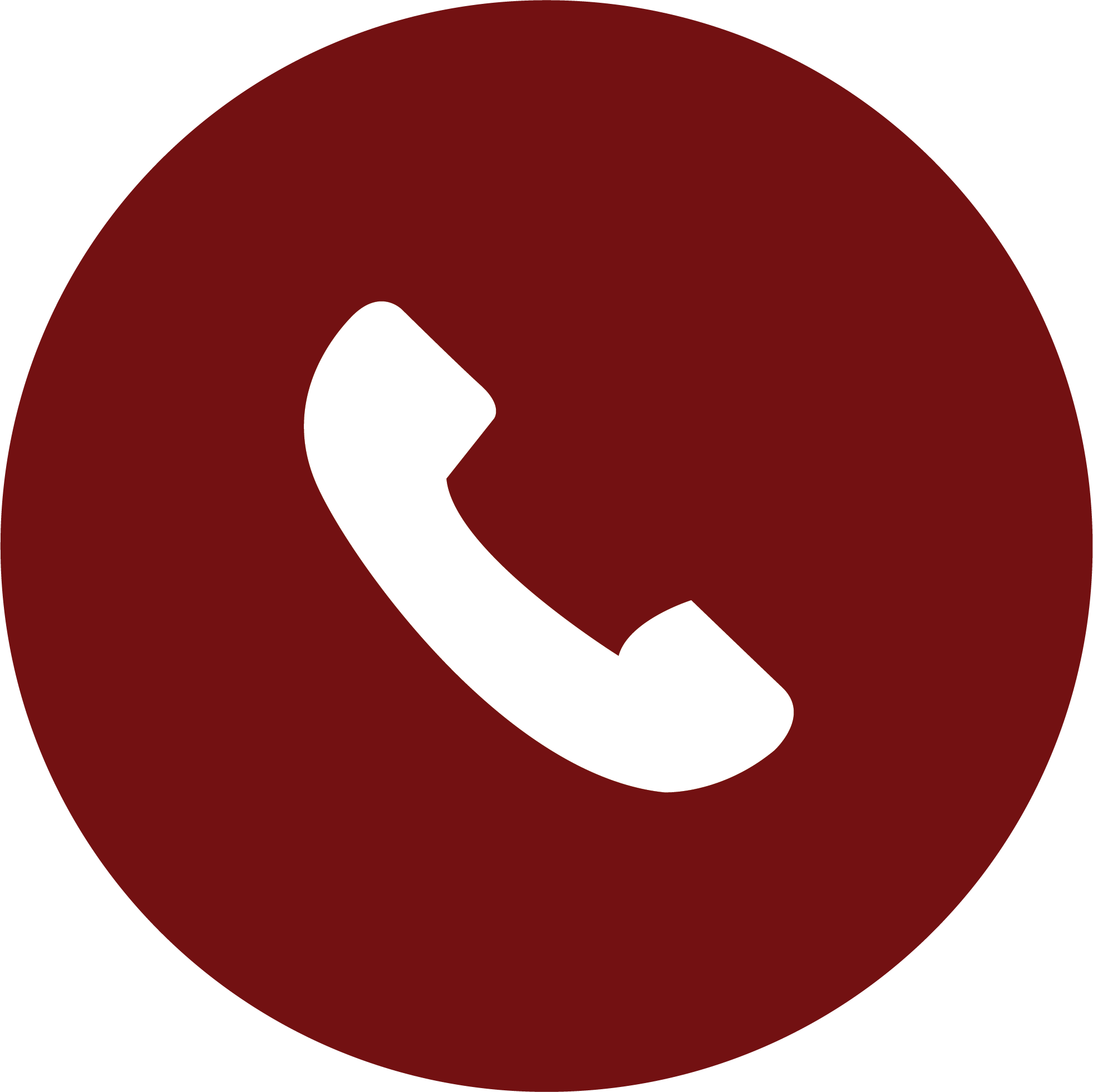 Phone Logo